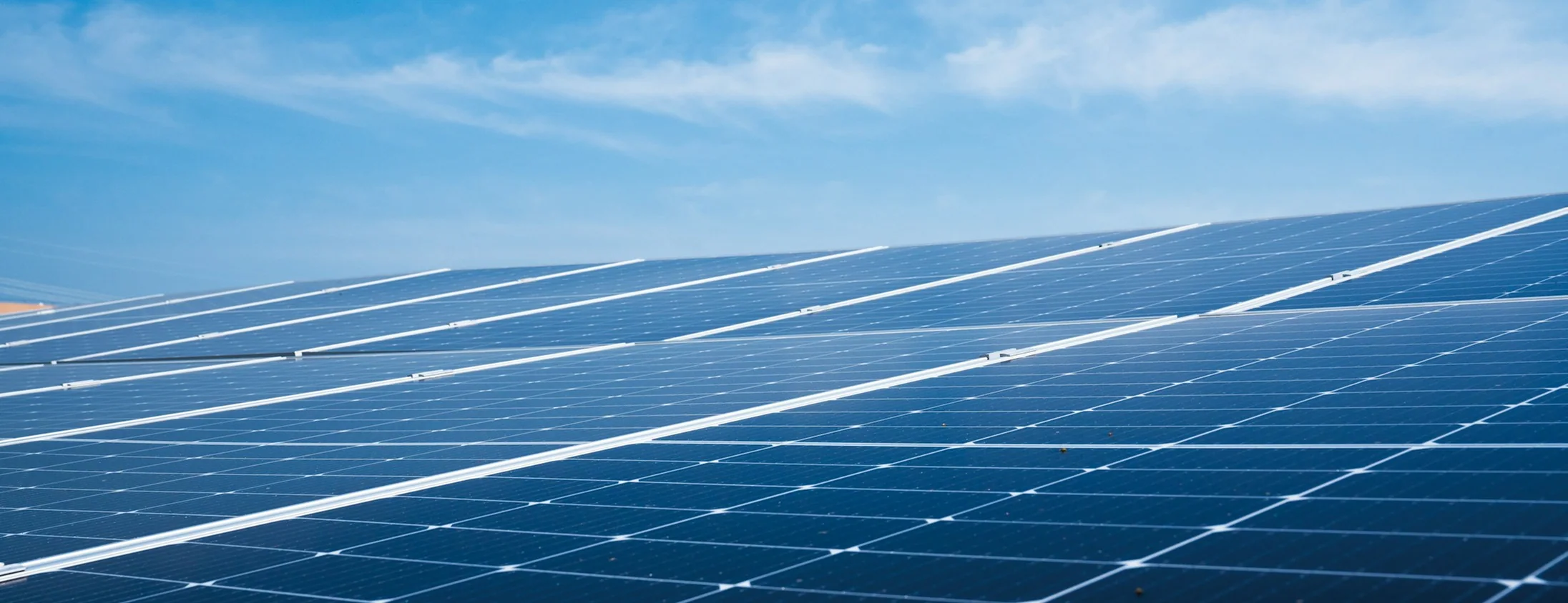 The top 13 seed stage climate tech VCs to watch